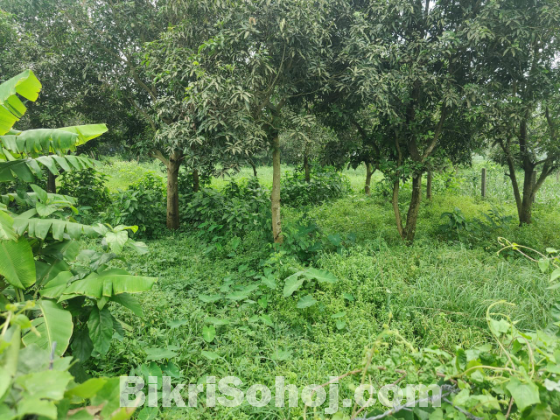 ভাকুর্তায় জমি বিক্রয়